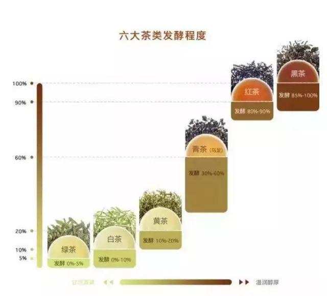 一次性把中国茶讲清楚（建议收藏）