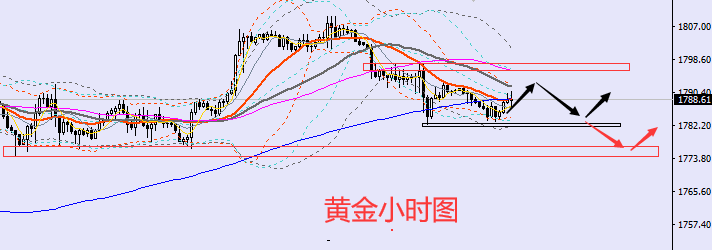 老黑策略:8.26晚盘外汇、黄金、原油分析策略