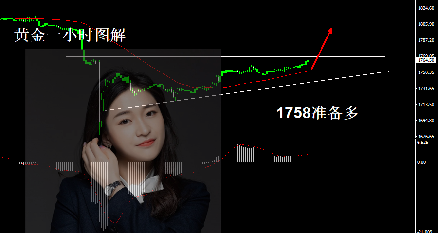 詹亦鑫:8.13黄金解套。黄金1754多单如期上涨,收割一波