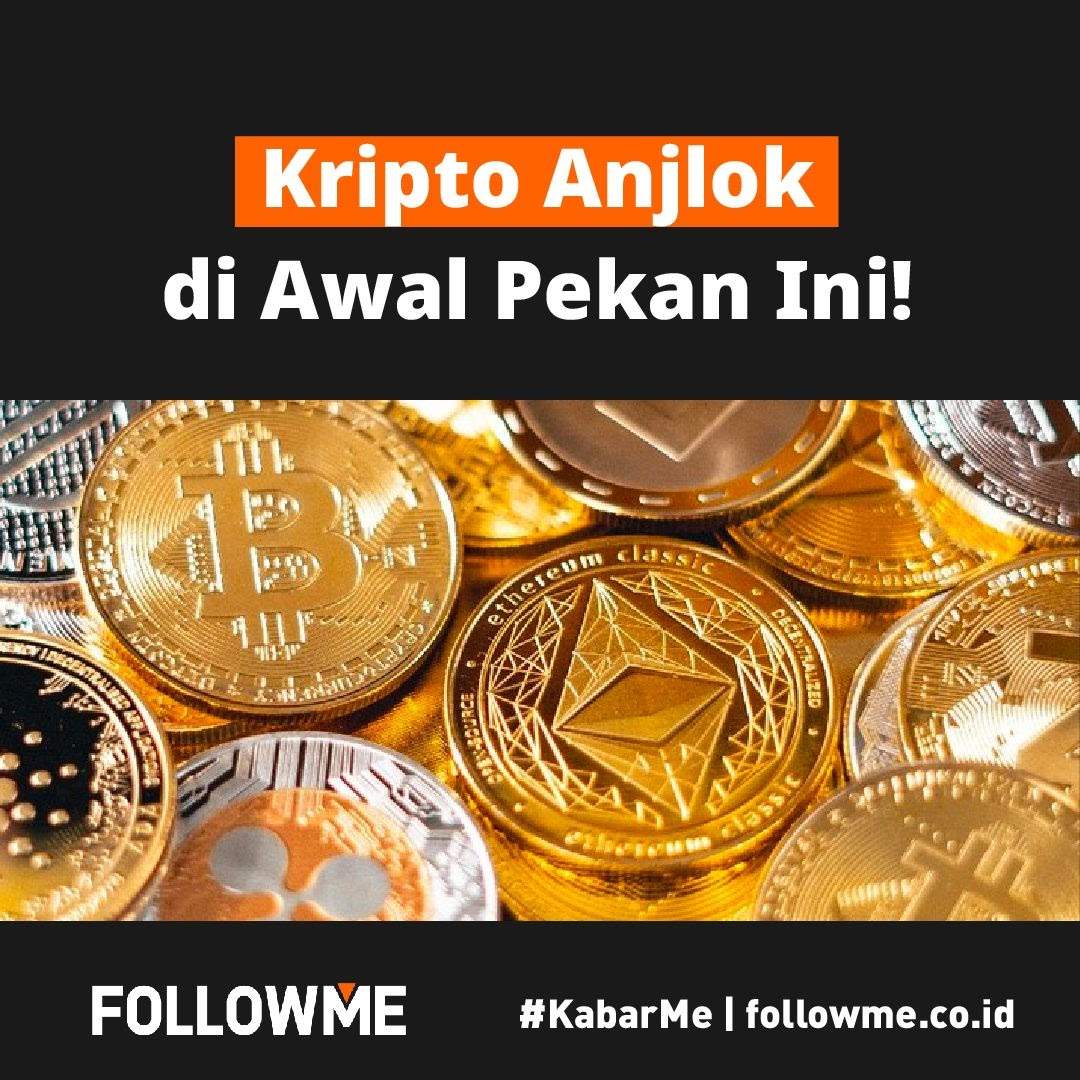 feed-image-0