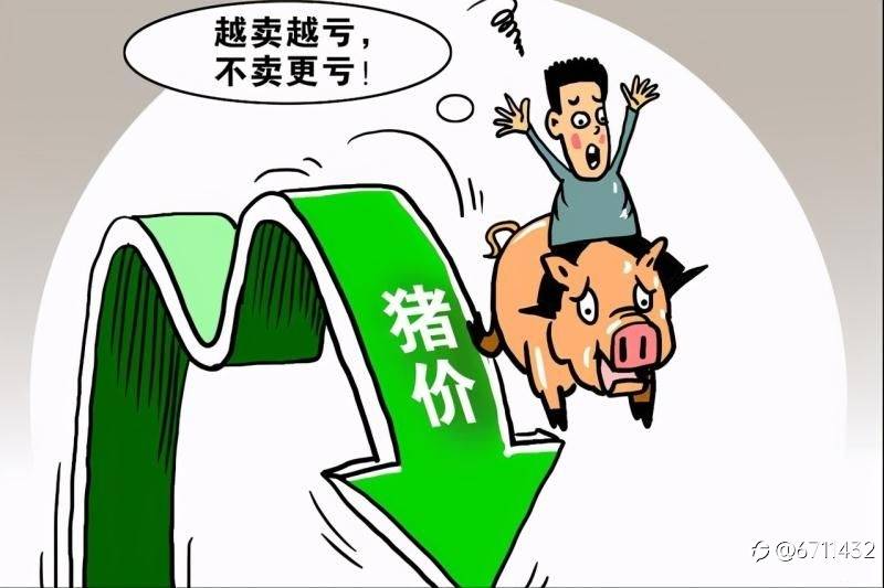 拿什么来拯救“一蹶不振”的猪肉