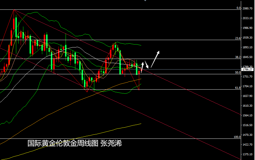 张尧浠：恐怖数据将续利好支撑、黄金保持反弹仍有空间
