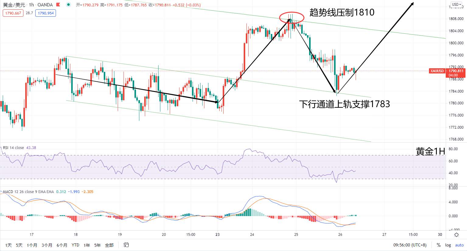 嘉树：黄金的回踩反弹就是这么不讲道理