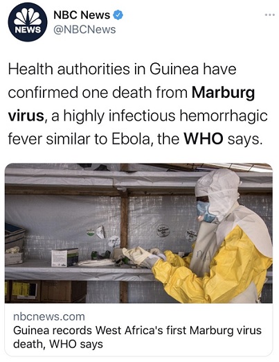 致死率高达88%!世卫证实西非首现感染马尔堡病毒死亡病例