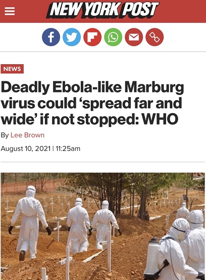 致死率高达88%!世卫证实西非首现感染马尔堡病毒死亡病例