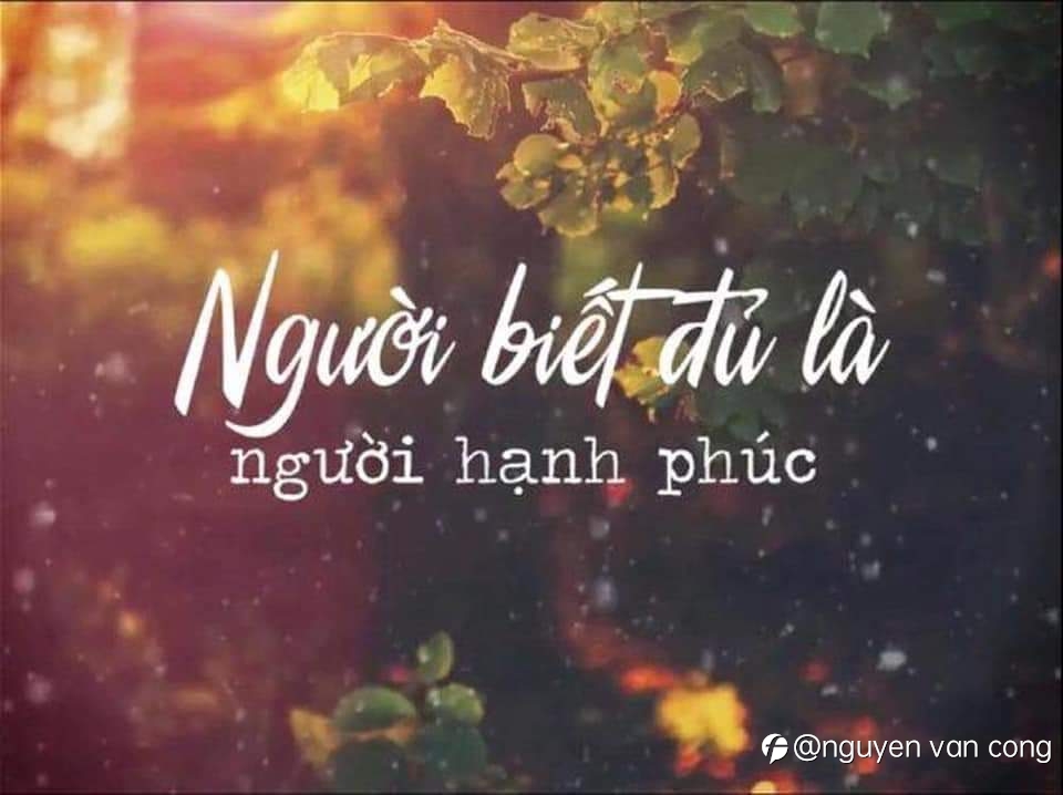 Tóm tắt cuộc họp báo.