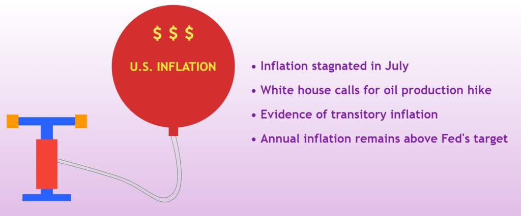 Fundamental Updates – Slowdown In U.S. Inflation Not A Game Changer (12 August 2021)