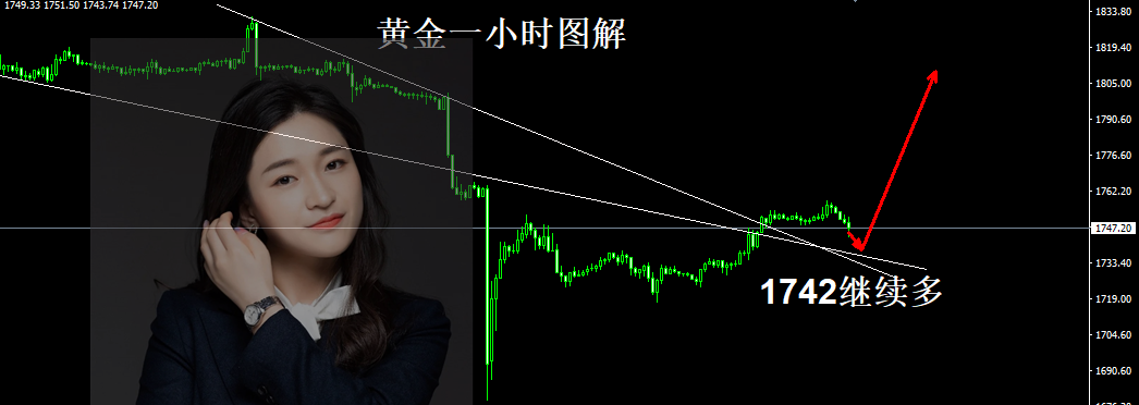詹亦鑫:8.12晚间操作策略。黄金1742一线可以多,回落更看好涨