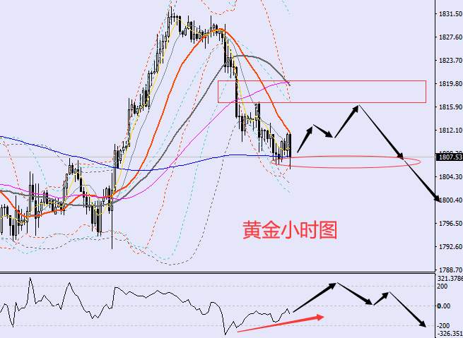 老黑策略:8.2晚盘外汇、黄金、原油分析策略