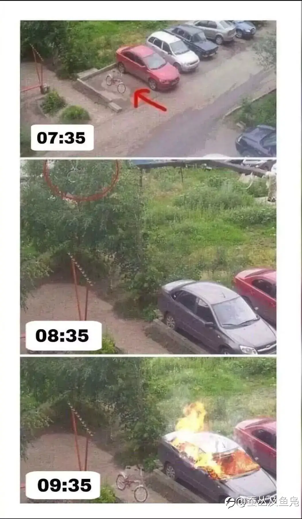feed image