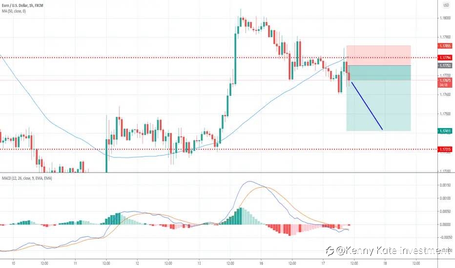 EUR/USD amended (17/08/2021)