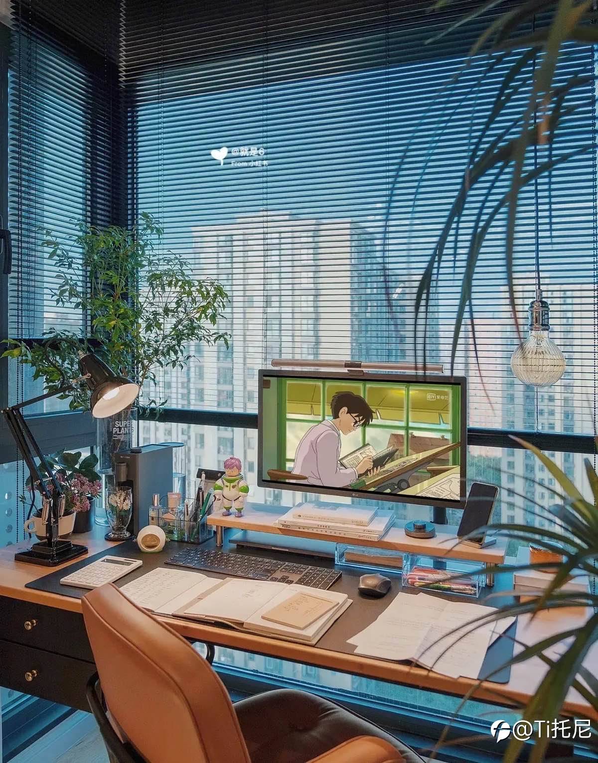 feed-image-1