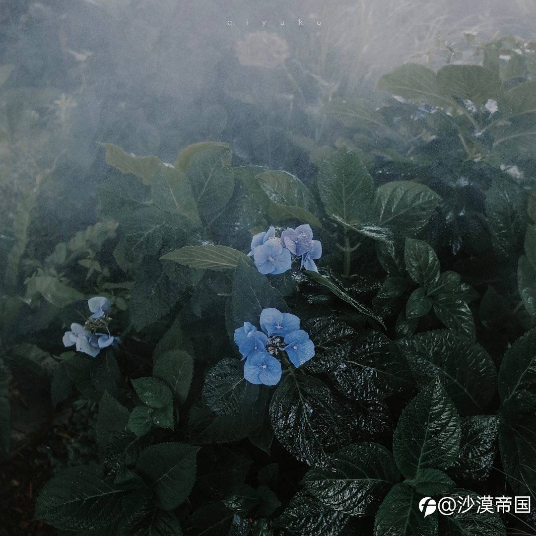 2021.8.3 外汇早报