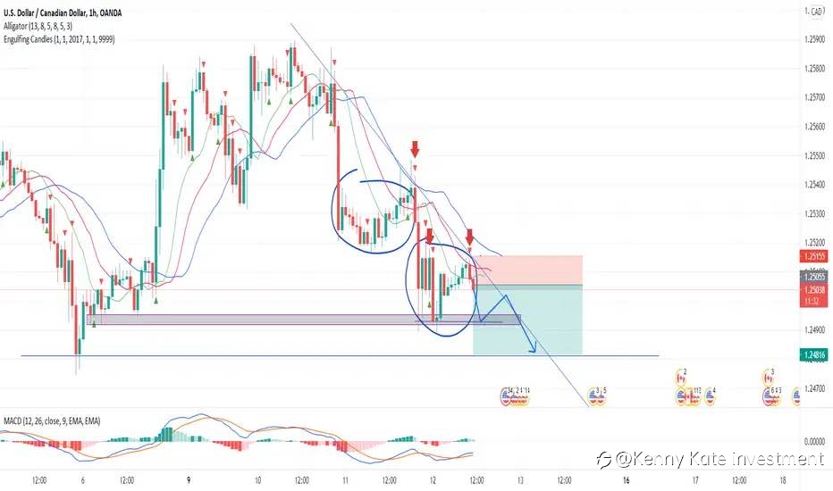 USD/CHF should have adjustment?(12/08/2021)