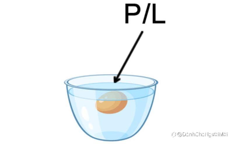 P/L chưa thực hiện và P/L thả nổi là gì?