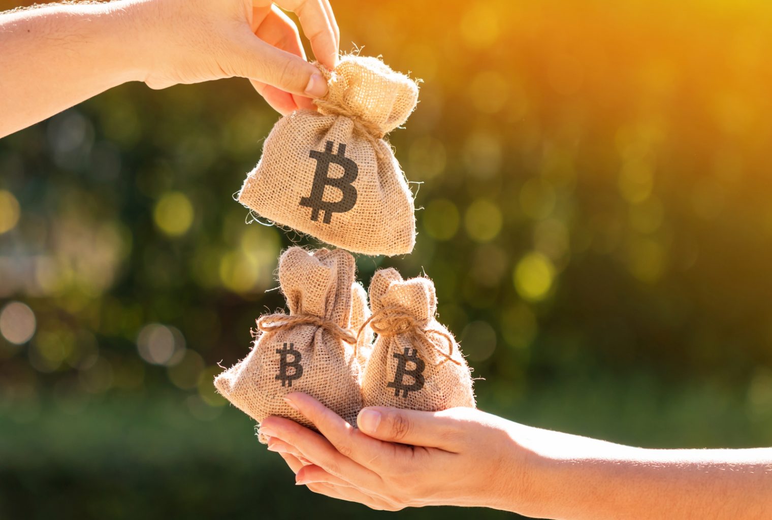 调查发现，大多数萨尔瓦多公民不同意比特币作为法定货币