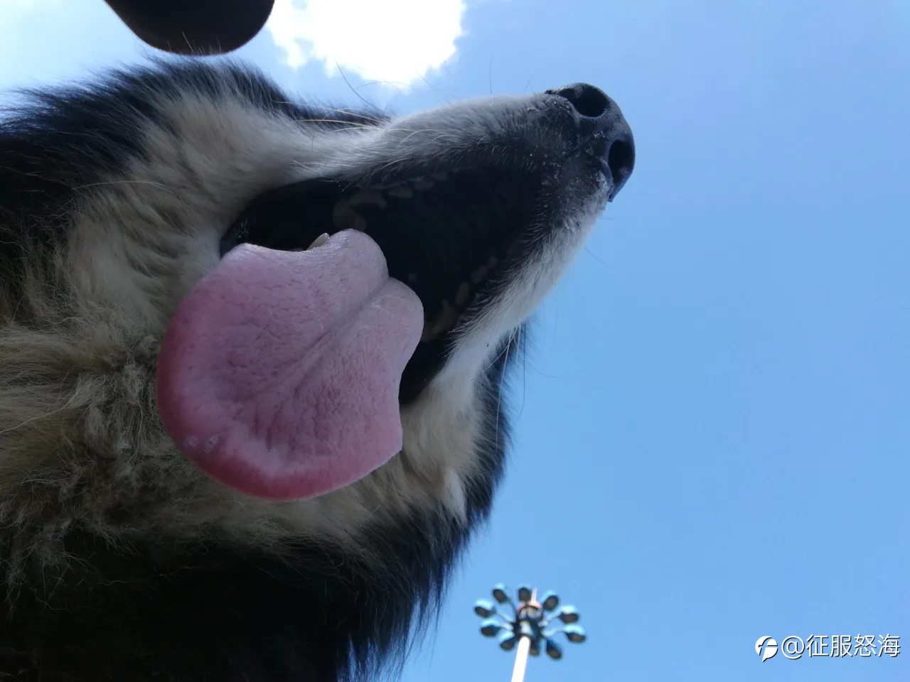 feed image