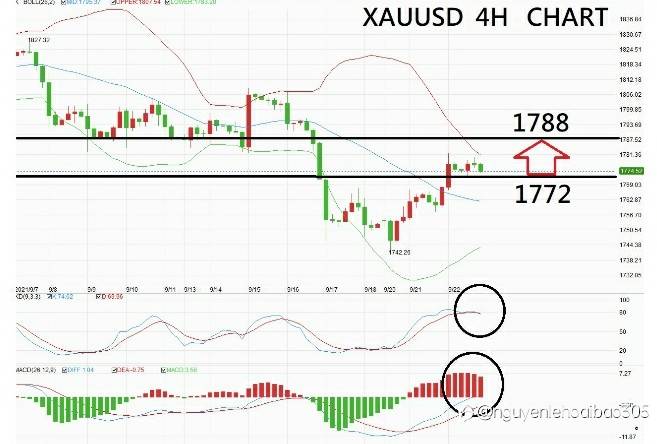 Nỗi lo vỡ nợ ngại rủi ro, Vàng biến động tăng