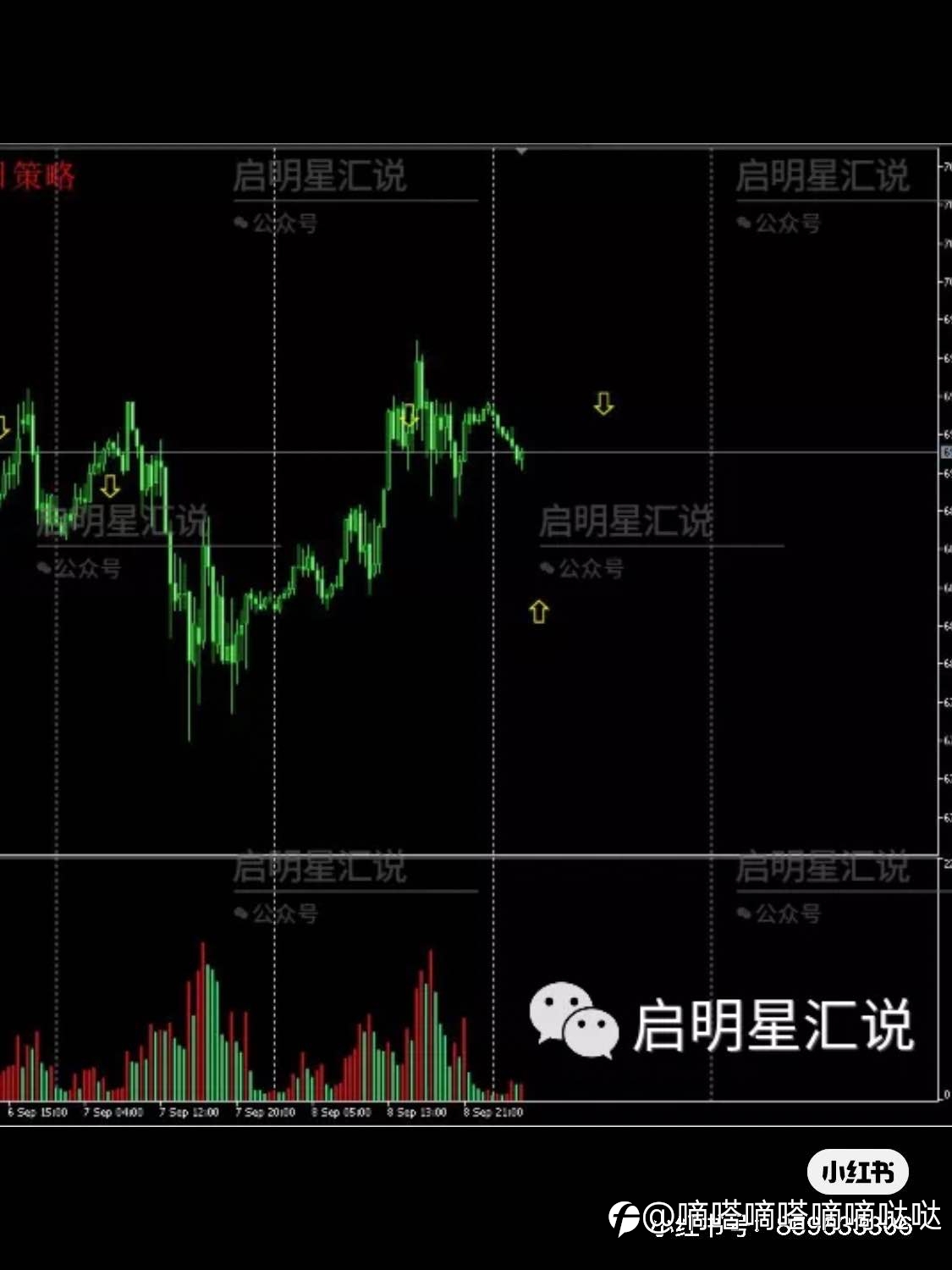 再多的行情你也赚不了钱,因为你不配
