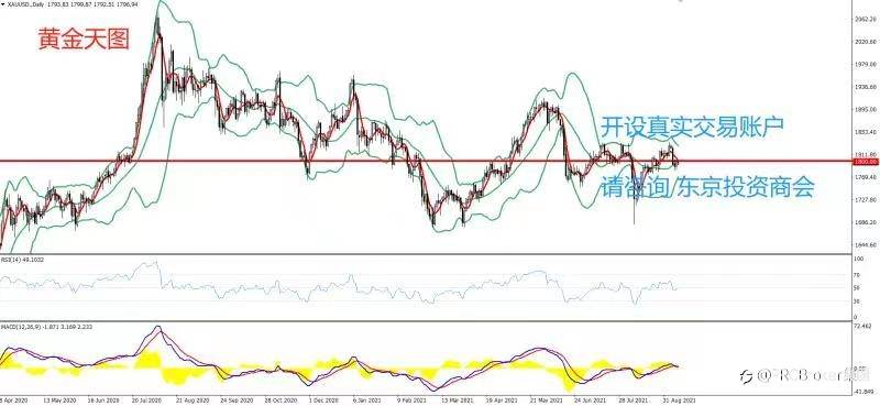 PRCBroker:20210910 今日汇评