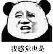 炒外汇这样设置交易手数，还怕什么风险