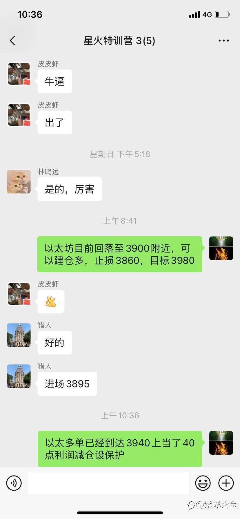 feed-image-2