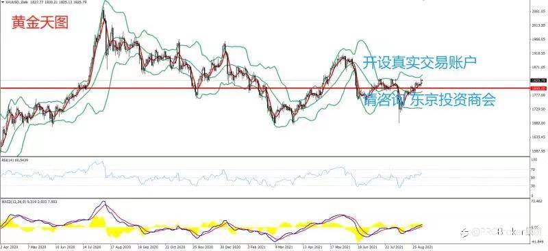 PRCBroker:20210906 今日汇评