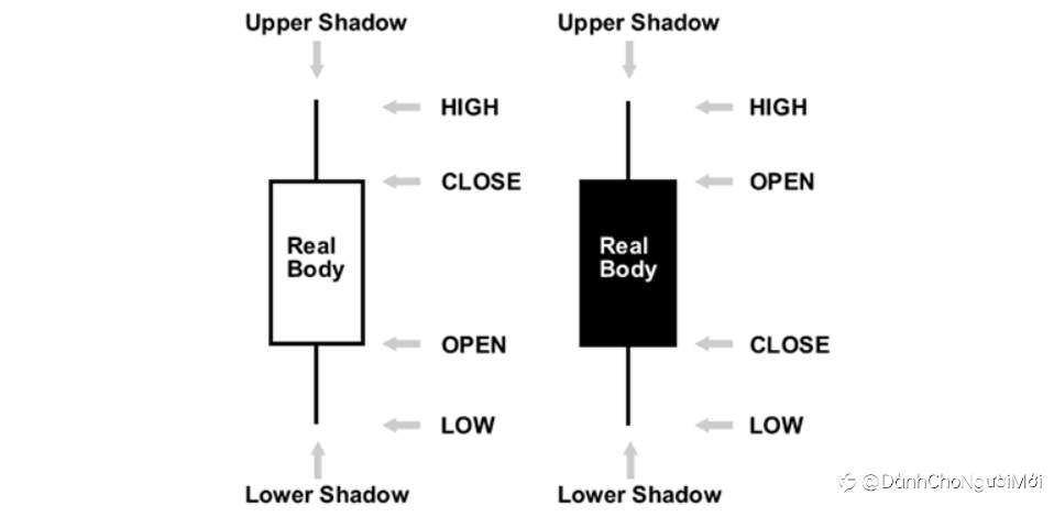 3 loại biểu đồ ngoại hối và cách đọc chúng