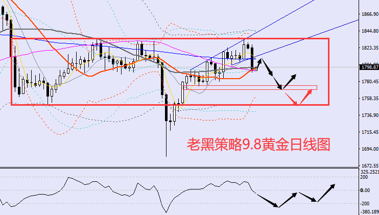 老黑策略:9.8黄金分析策略
