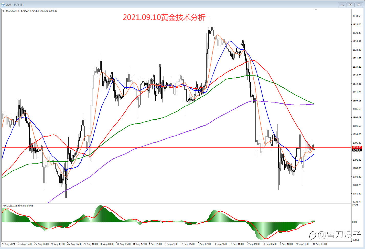 2021.09.10黄金技术分析