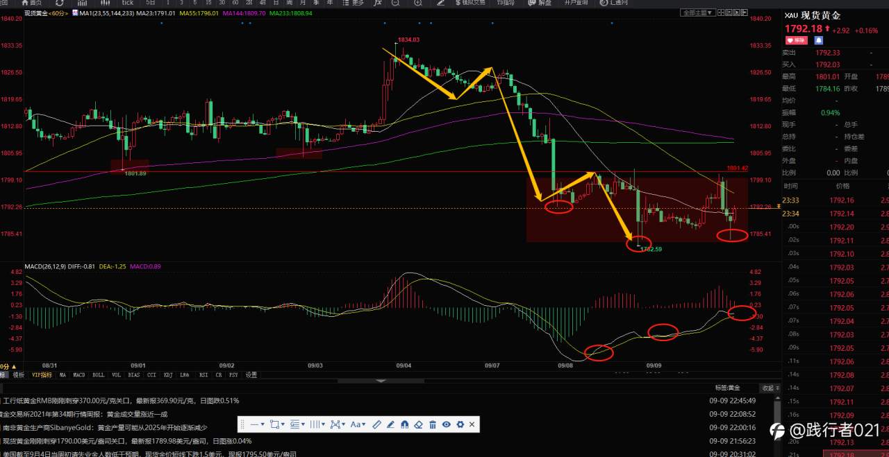 feed-image-2