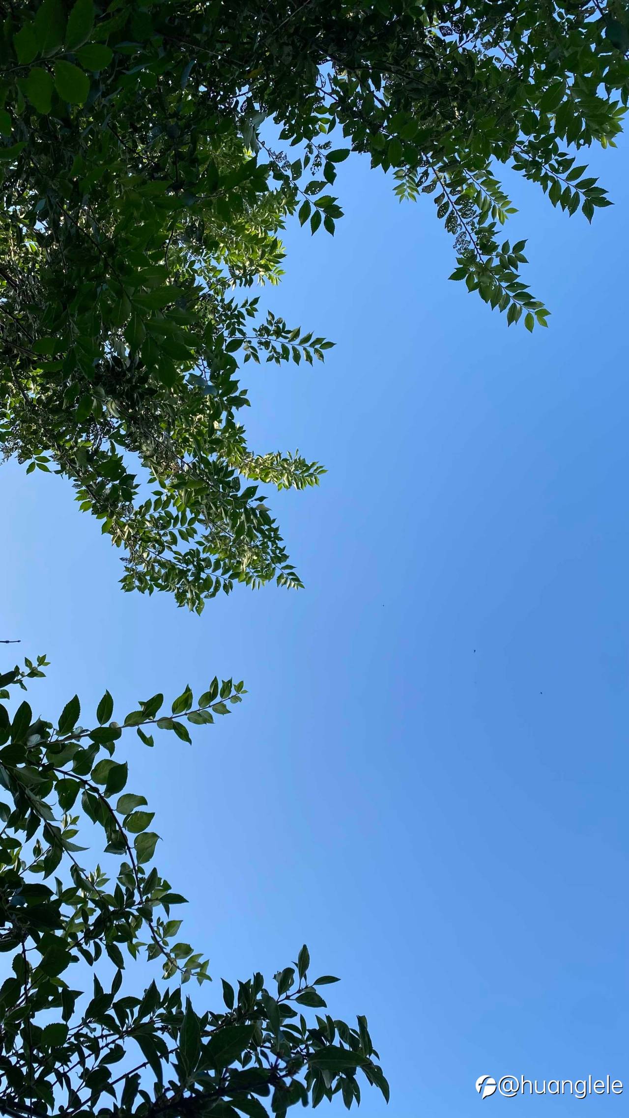 feed-image-2