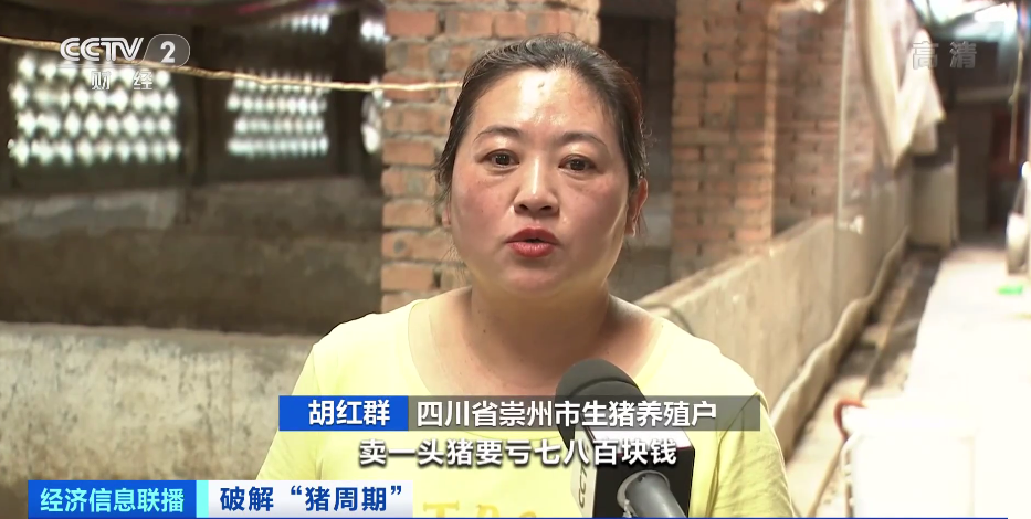卖一头猪亏七八百元!生猪市场量足价跌,本轮“猪周期”用时最短