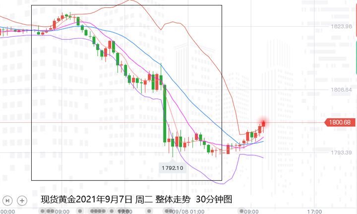 张尧浠:双美动力减弱仍有涨、黄金跌后关注反弹需求再空