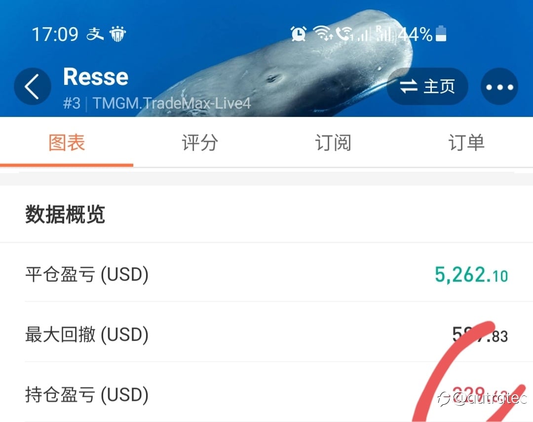 马丁抗击单边表现比较