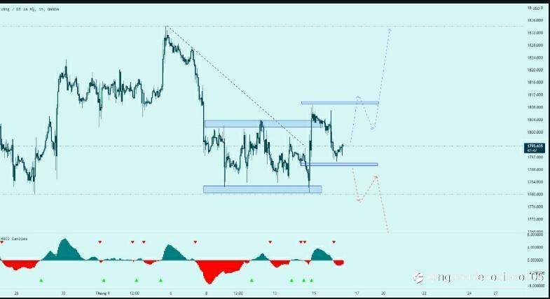 Xu hướng tiếp theo của giá vàng