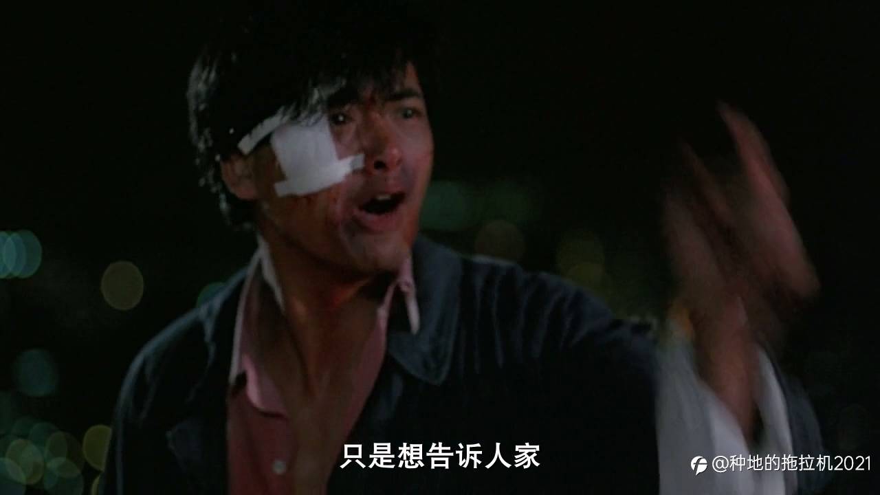 我与【外汇】吉尼斯世界记录不得不说的故事