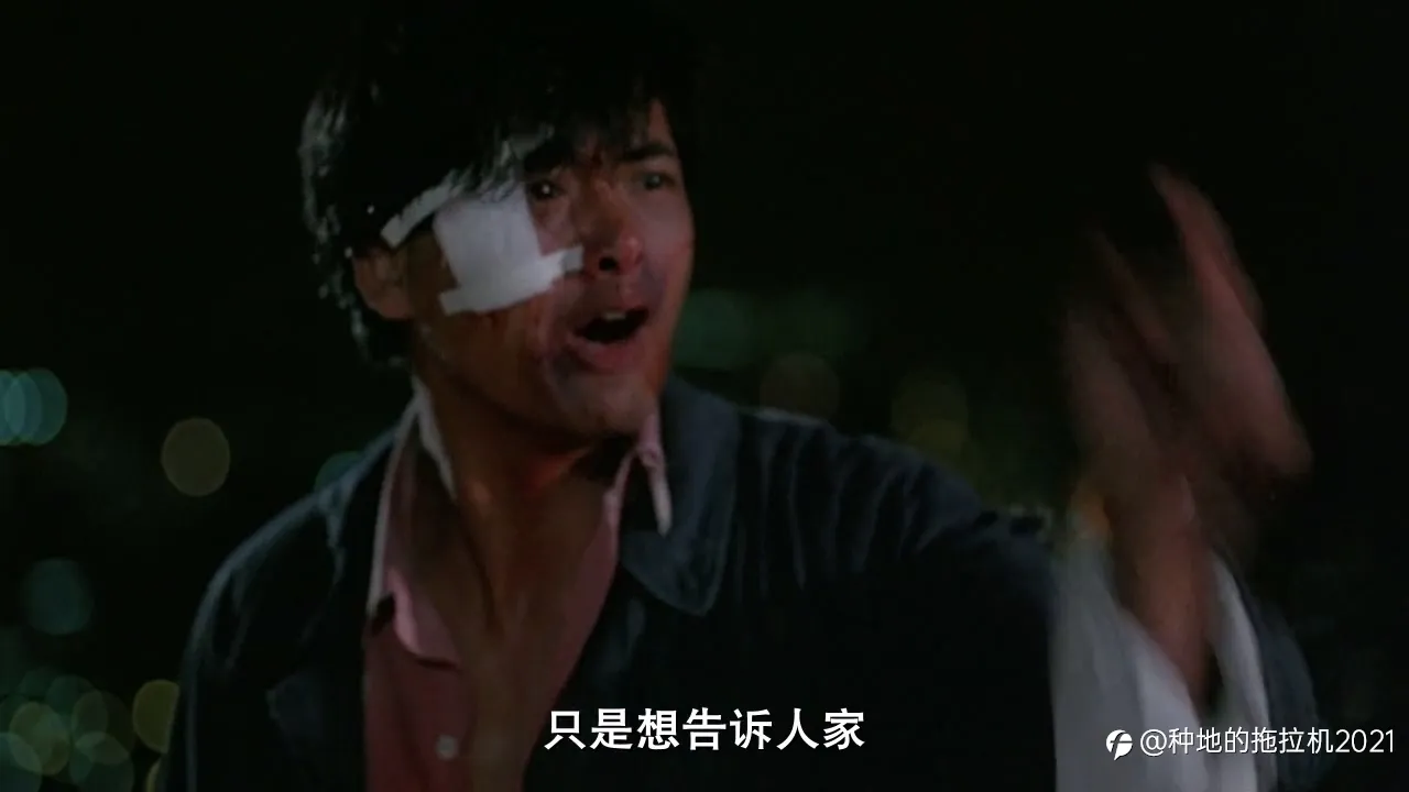 我与【外汇】吉尼斯世界记录不得不说的故事