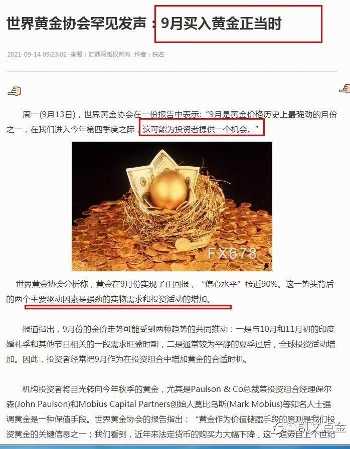 feed-image-1