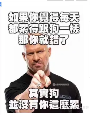 日内与波段大路朝天各走半边