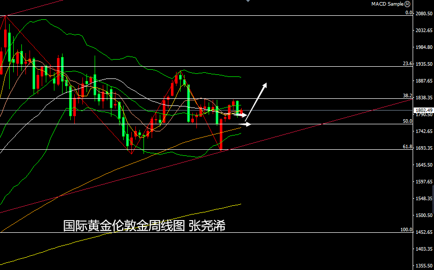 张尧浠:通胀低预期美缩表蒙阴、黄金区间反弹续看走高