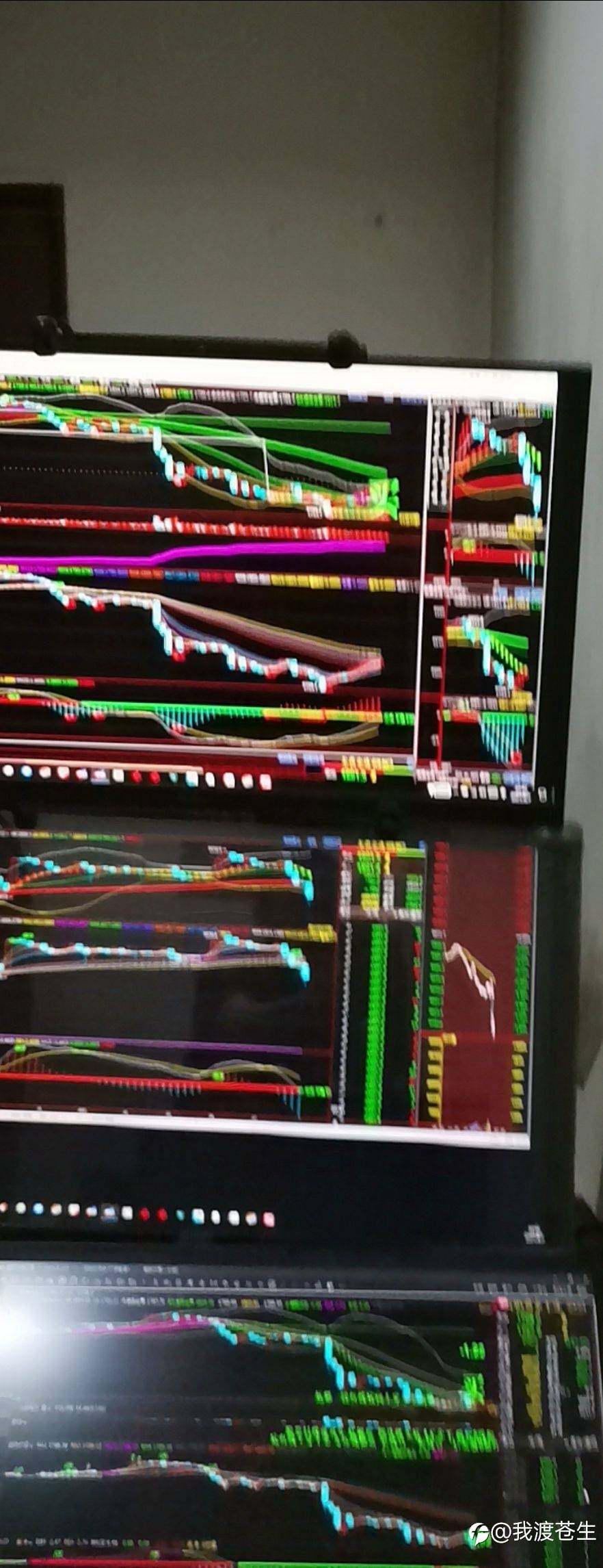feed-image-1