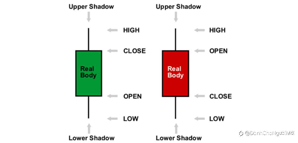 3 loại biểu đồ ngoại hối và cách đọc chúng