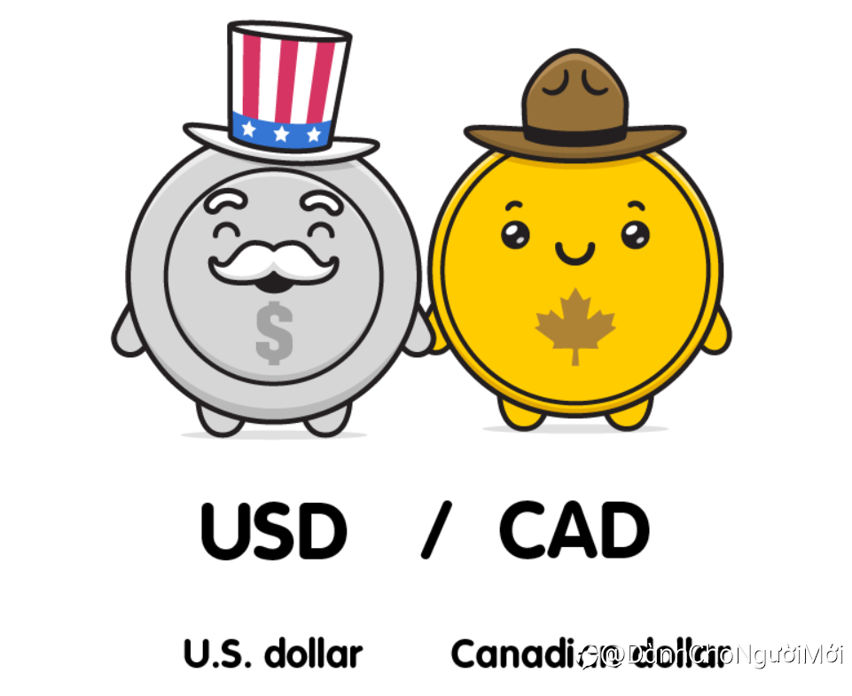 Forex (FX)