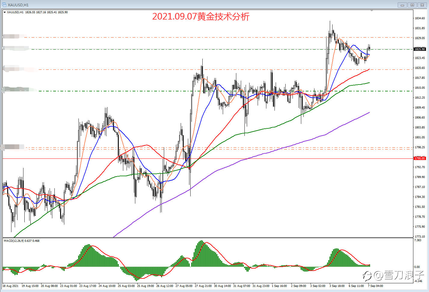 2021.09.07黄金技术分析