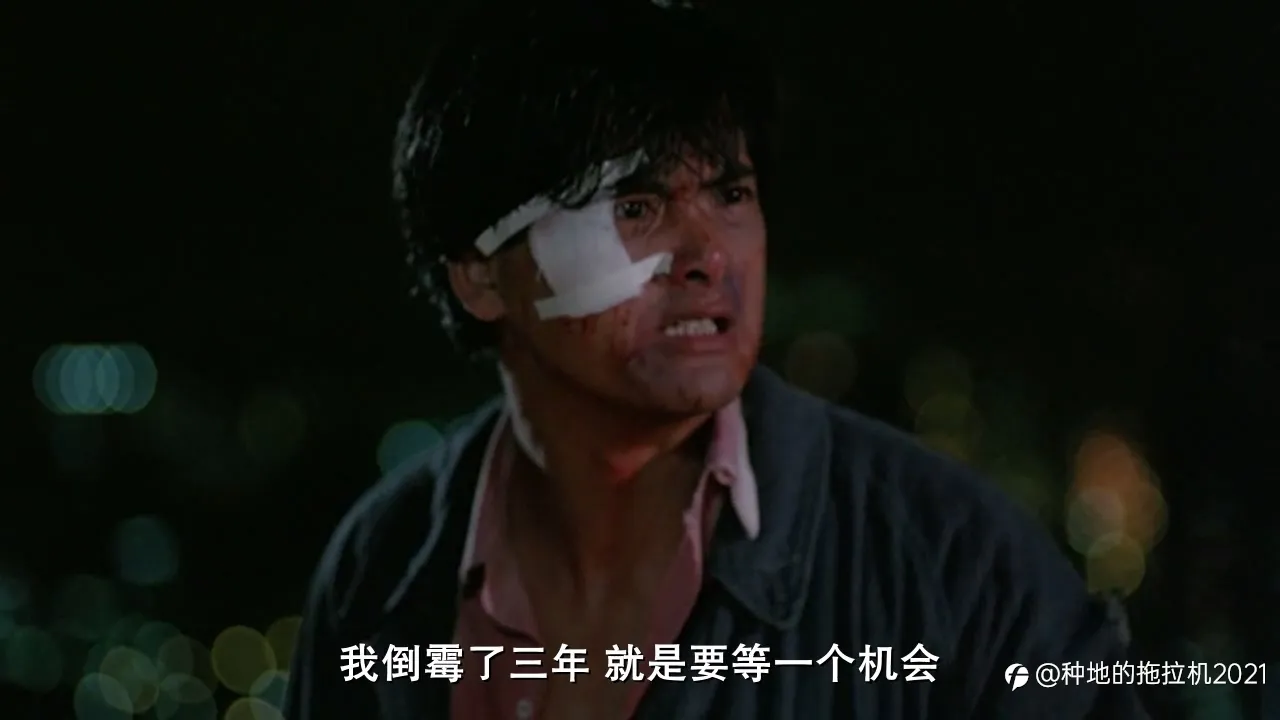 我与【外汇】吉尼斯世界记录不得不说的故事