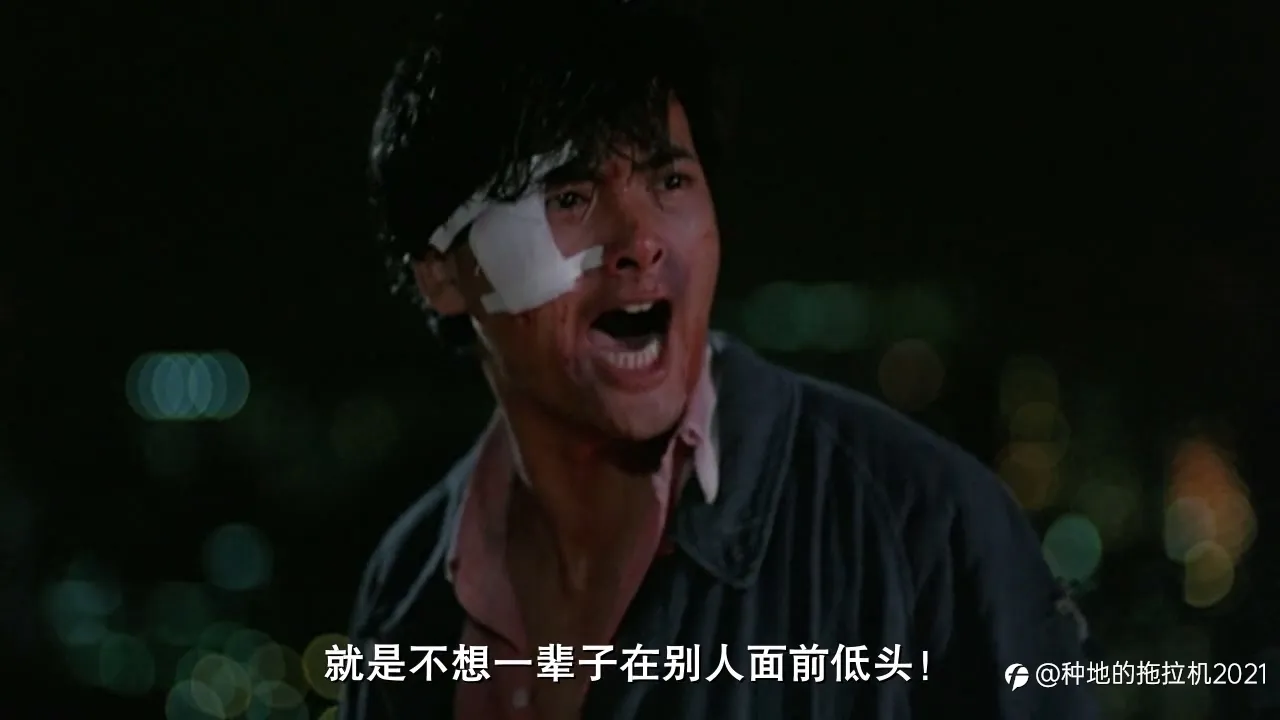 我与【外汇】吉尼斯世界记录不得不说的故事