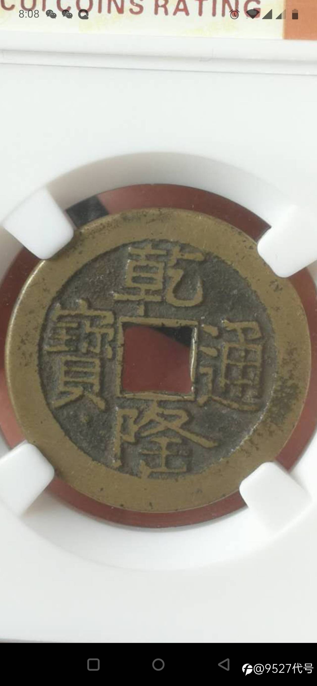 feed-image-1