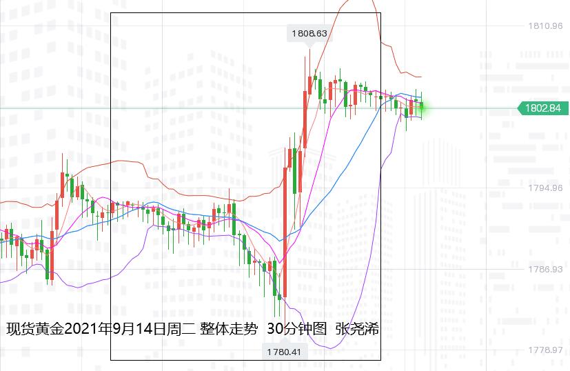 张尧浠:通胀低预期美缩表蒙阴、黄金区间反弹续看走高