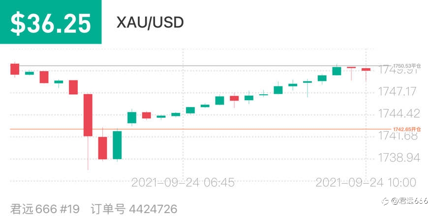 119363734
